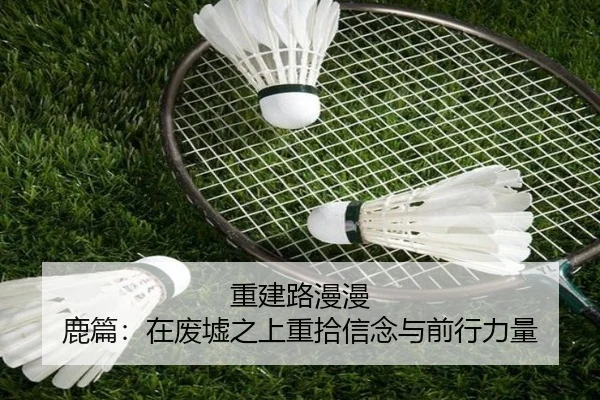 重建路漫漫 鹿篇：在废墟之上重拾信念与前行力量